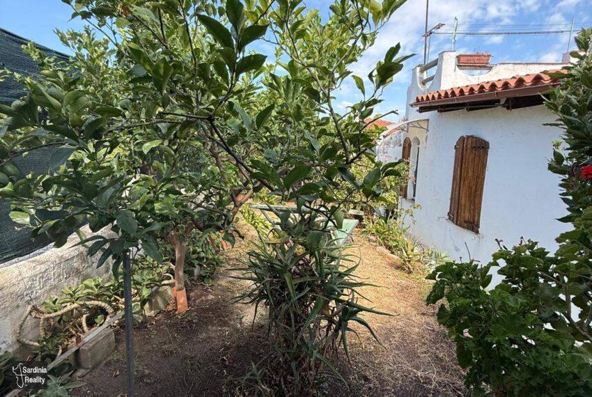 10_53446_20250730121848-18